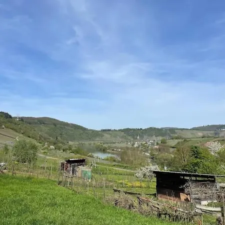 Moselsteig Apartament