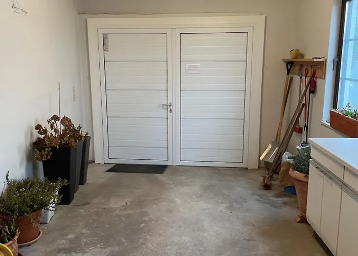 Moselsteig * רייל